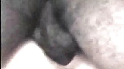 Suudi turk porno amatör Noel Oteli